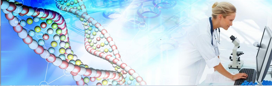 上海睿諾信息工程有限公司