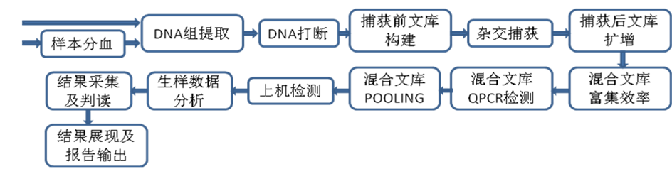 5fcf207384593.png 360截圖16450628474273.png